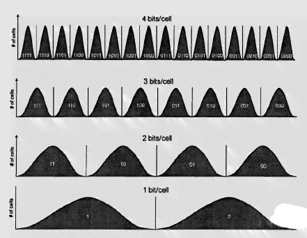 different bit cell of flash memory