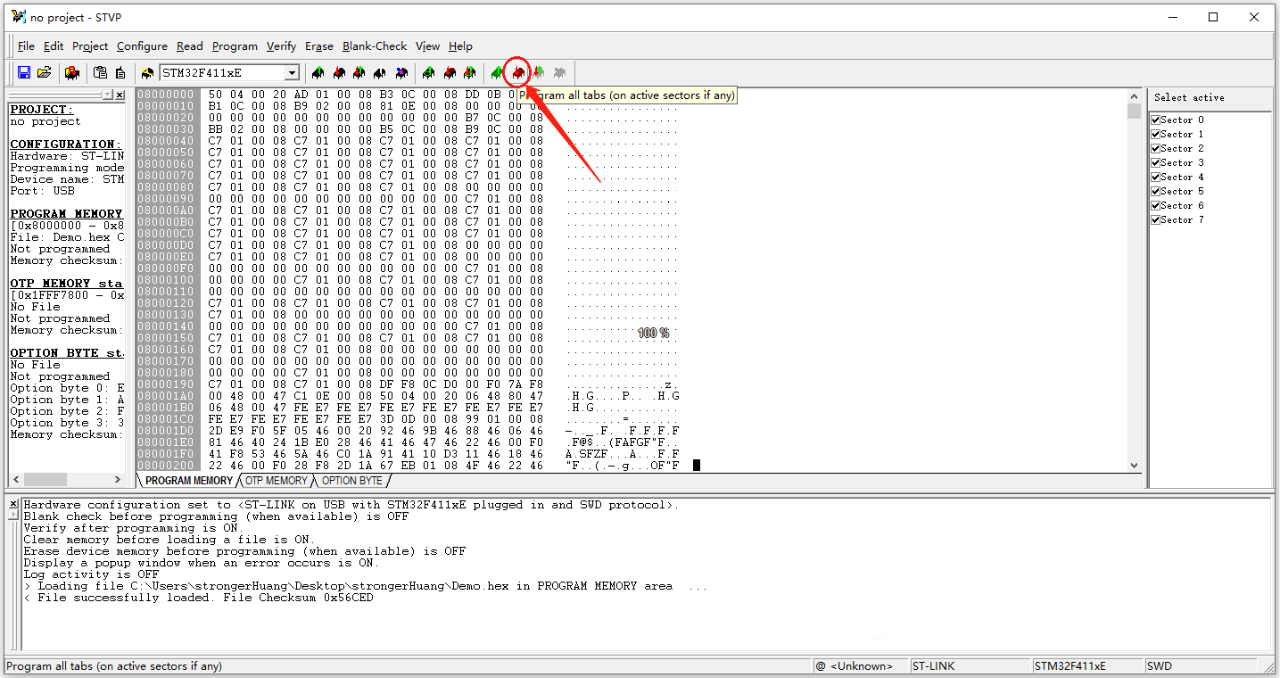 Start Programming the STM Chips