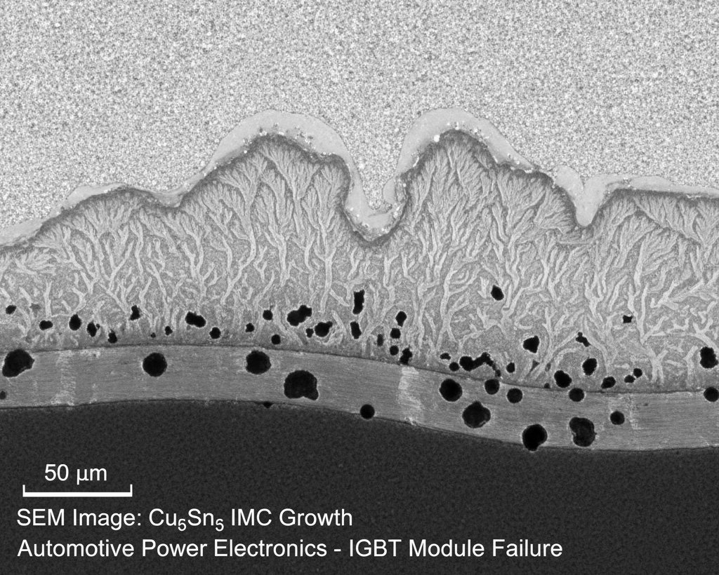 SEM Micrograph of Intermetallic Compound IMC Growth